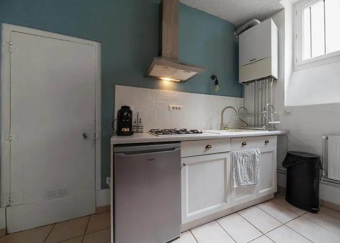 Apartment Le Cocon - Cocooning Avec Terrasse - Rue Des Gras Clermont-Ferrand