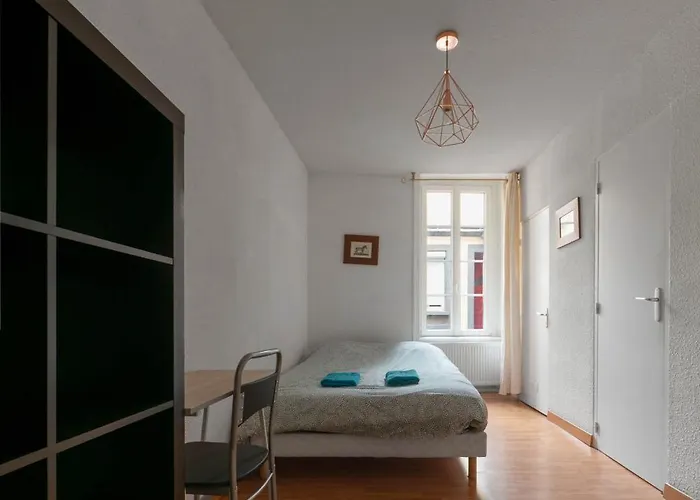 Apartment Le Cocon - Cocooning Avec Terrasse - Rue Des Gras Clermont-Ferrand