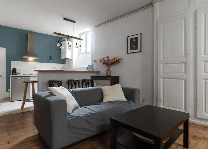 Le Cocon - Cocooning Avec Terrasse - Rue Des Gras Clermont-Ferrand